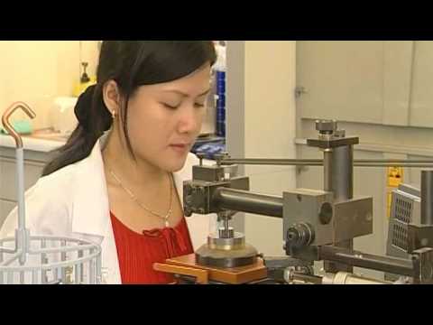 Franck Muller Watchland