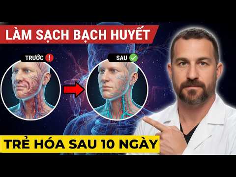 Kích hoạt hệ BẠCH HUYẾT để có Làn Da TRẺ ĐẸP và Cơ thể Khỏe Mạnh ! GS. Andrew Huberman