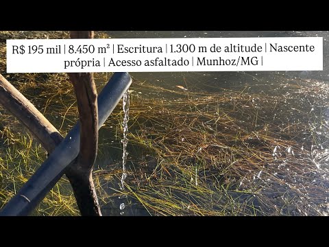 R$ 195 mil | 8.450 m² | Escritura | 1.300 m de altitude | Nascente própria | Munhoz/MG
