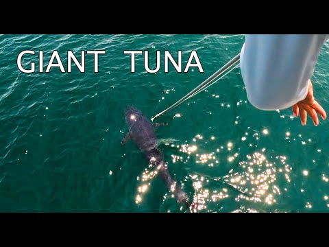 SEA MONSTERS ARE REAL. I STUCK ONE