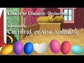 Carnival of the Animals, Camille Saint-Saëns: Hens and Roosters
