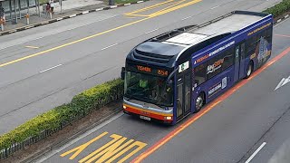 (Keystone@Mandai Full Body Advertisement) SMB1434K On Service 854 At Yishun Avenue 2