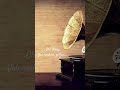 Yeh Reshmi Zulfen Song Whatsapp Status Shorts Short
