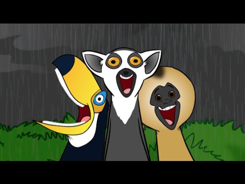 Kids Learning The Rainforest Song