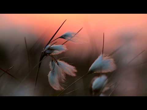 Karkonosze Pieśń Wiatru i Mrozu