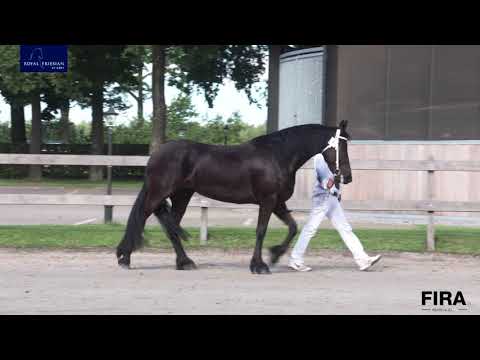 Locatiekeuring Stal de Mersken 21-8-2020