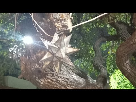 Lección 51 de Un Curso de Milagros   Repaso lecciones 1 a la 5