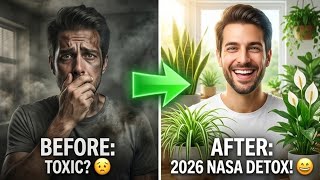 10 Indoor Plants to Detox Your Home for 2026 (NASA Approved)