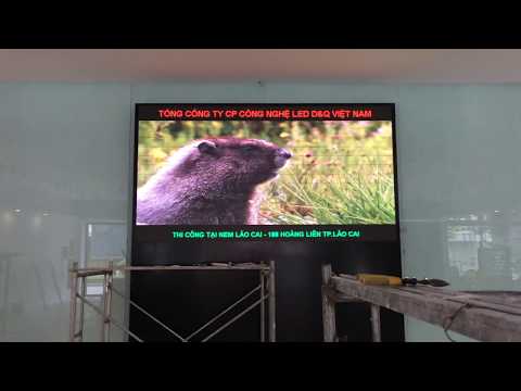 Video dự án