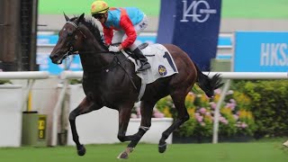 嘉應高昇 成為三冠短途王，實至名歸，贏到其他對手食曬塵#嘉應高昇#主席短途獎