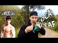Coca Leaf & Hiking 14,000ft. Above Sea Level! l Vlog 013