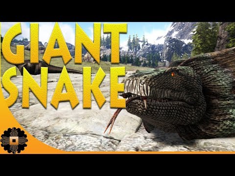 GIANT SNAKE! HOW TO TAME A TITANOBOA. Ark Ragnarok Ep.1