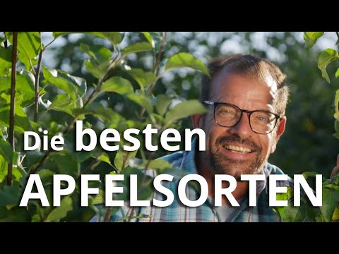 The BEST APPLE VARIETIES for your own HOME GARDEN