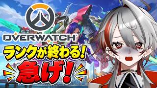 【OW】ランク終盤！今日も一人でOW！