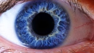 NEW BODY PART DISCOVERED -- Mind Blow #66