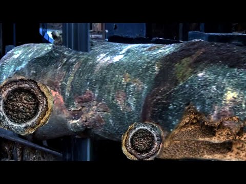 Shocked The process cutting giant tree stumps into wood board