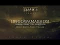 Mbuso Khoza, Phillip Miller - Ungowamakhosi (Shaka iLembe Title Sequence) | LYRIC VIDEO Shaka iLembe