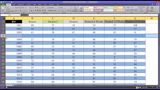 Alternating Row and Column Colors and Other Formatting Options in Excel