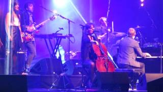 Birds Of The High Arctic - David Gray Live In Vancouver Aug 26 2014