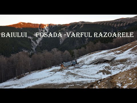 Munții Baiului     Posada -Vârful Răzoarele 🥾🌞🔥🌲