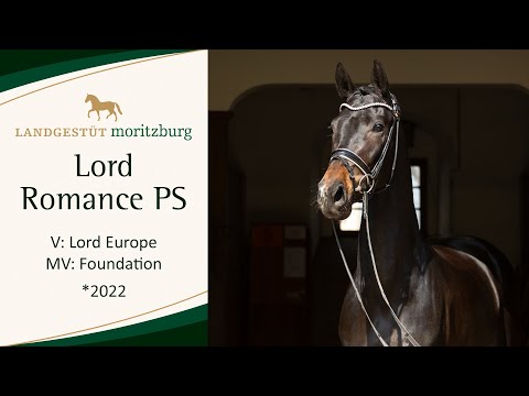 LORD ROMANCE PS v. Lord Europe - Foundation