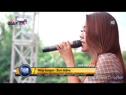 ( Devi aldiva ) new pallapa nitip kangen