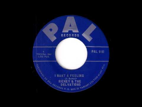 Rickey & The Delvations - I Want A Feeling [Pal] 60's Rare Funk Breaks 45 Video