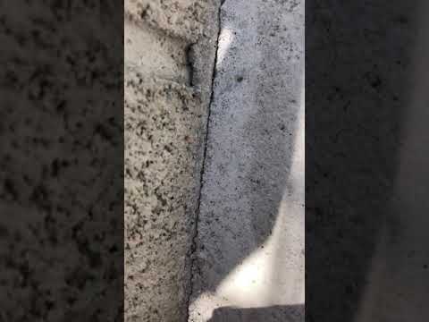 堆肥に赤い虫がいるのは正常ですか?なぜ彼らはタンクから離れるのでしょうか？  庭園