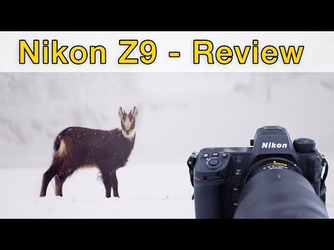Nikon Z9: Überbewertet oder ein Game-Changer für die Tierfotografie? REVIEW