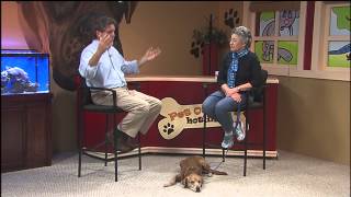 preview picture of video 'Pet Owner's Hotline: Obedience Club of Daytona Beach'