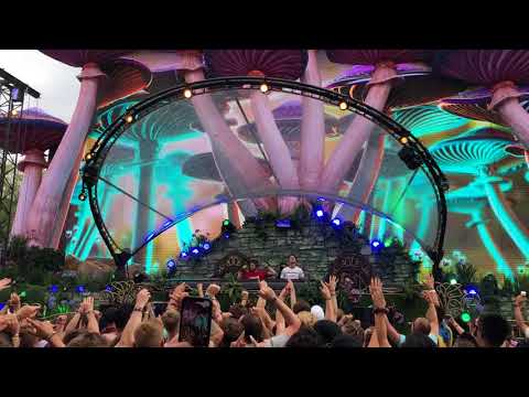Tomorrowland 2018 | Dubvision | Fall Apart vs. Don't Let Me Down