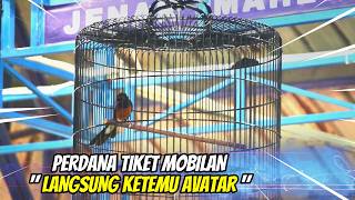 Download lagu SEREM Pendatang baru tiket mobilan !! BAKAL JADI KUDA HITAM mp3