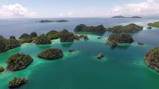 preview picture of video 'Piaynemo: The Magical Viewpoint in Raja Ampat'