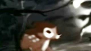 &quot;I&#39;ve Missed Her Since...&quot; -- [[Bambi]]