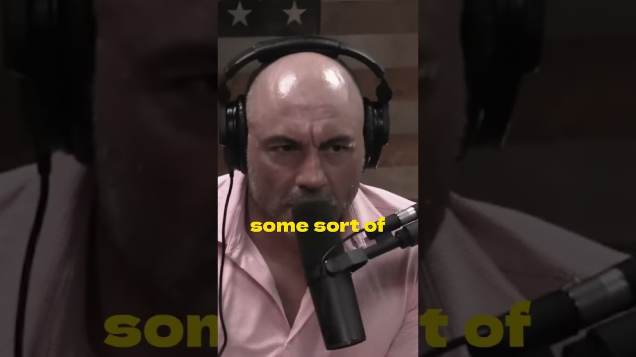 Embracing Humanity vs. Digital Immortality: Elon Musk's Insights