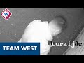 Filmpje van explosie gemaakt door dader zelf - Team West