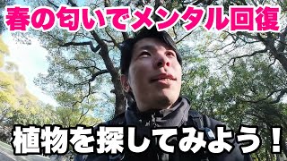 春の匂いを探しに行こう！lメンタル回復