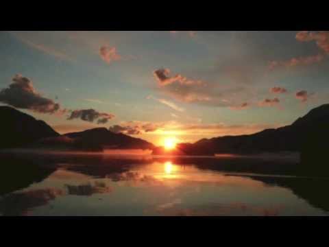 Sunshine FPB 64-2 (Sarah-Sarah)