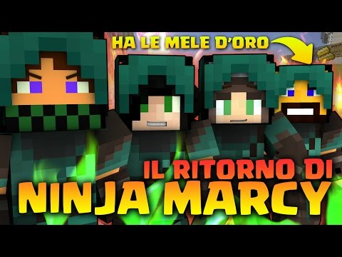 NINJA MARCY E I SUOI DISCEPOLI! (EggWars)