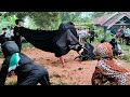 Garuda Jaya Live Broadcast Of Penanggungan 26 November 2025