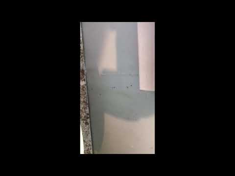 Pest Control in Manasquan, NJ