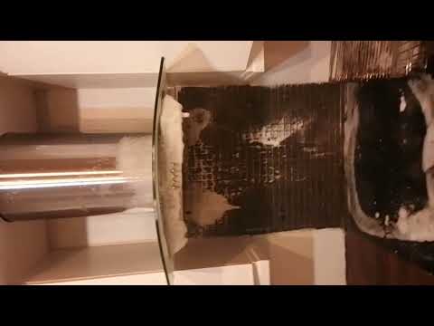 Antony Dent video.