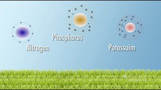 Soil Nutrients | From the Ground Up