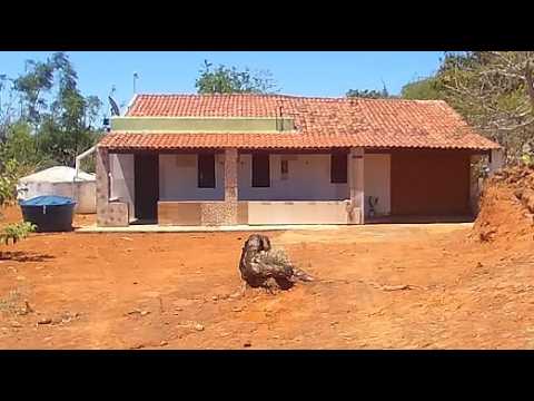120 mil Chácara 1 hectare em santa cruz da baixa verde. Fruteiras, cisterna 16 mil litros