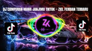 Download lagu DJ CAMPURAN MANA JANJIMU TIKTOK ~ ZIEL FERDIAN TERBARU mp3