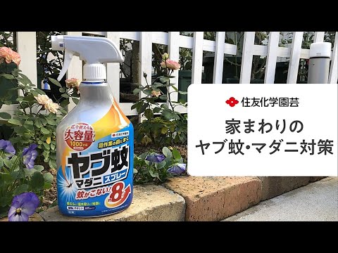 ダニの巣を見つける場所 家の庭の卵 殺し方