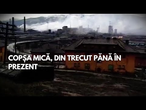 Copșa Mică, din trecut până în prezent: Romsilva a plantat 24 de milioane de puieți