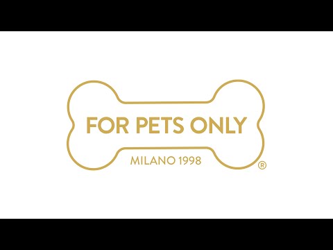 Little Friends Bandana Chicky Yellow