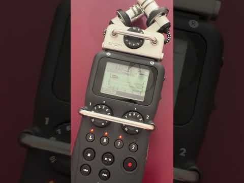 Zoom H5 Handy Recorder 2010s - Black image 6