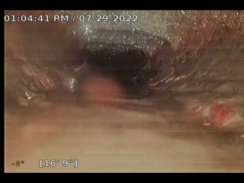 D Street Village Unit 209